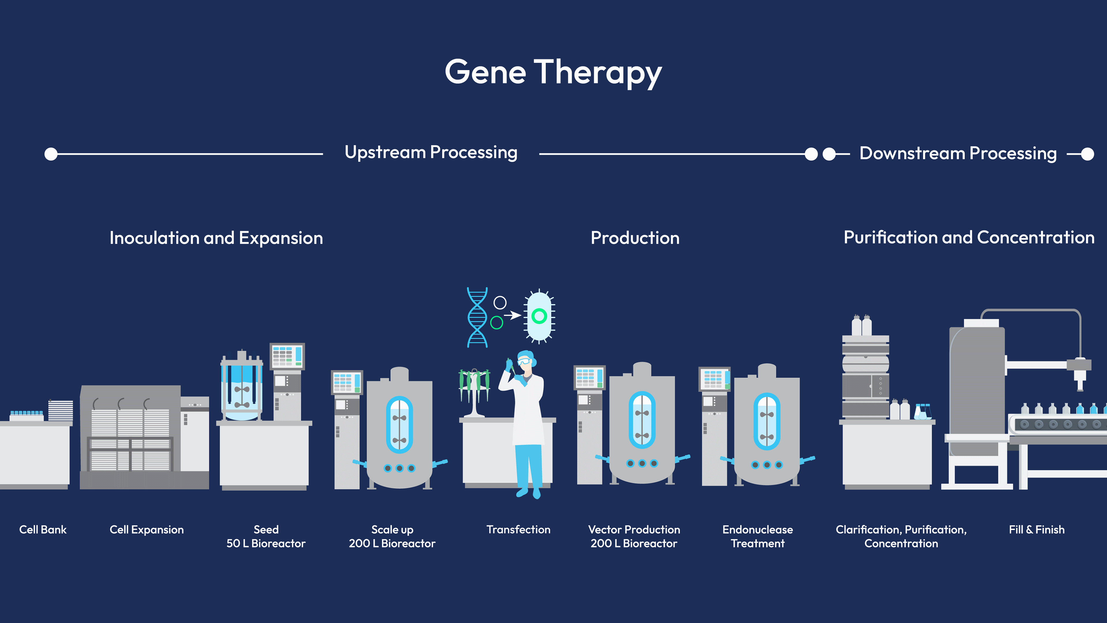 gene and cell therapy workflow