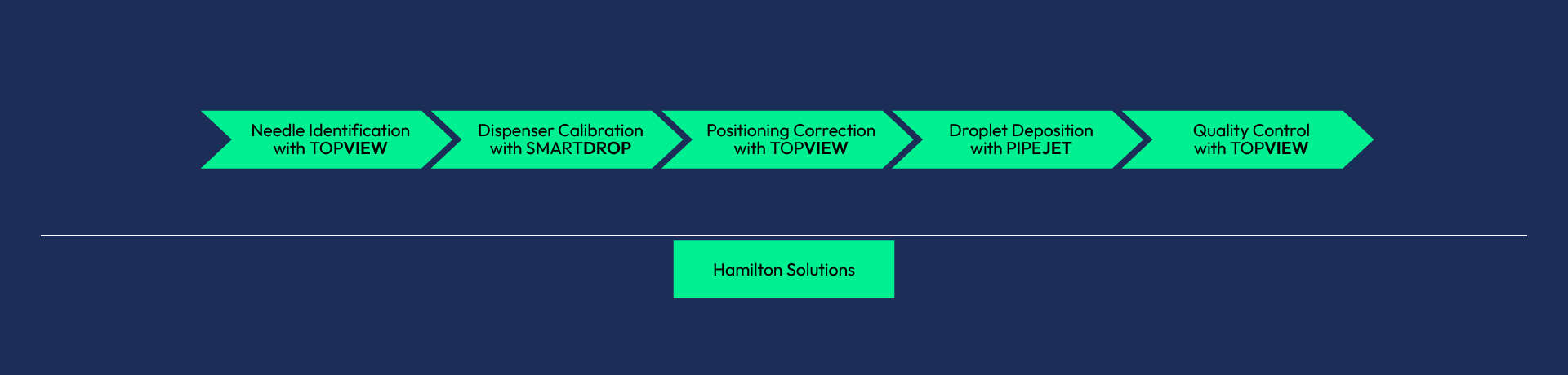 microneedle patch production workflow